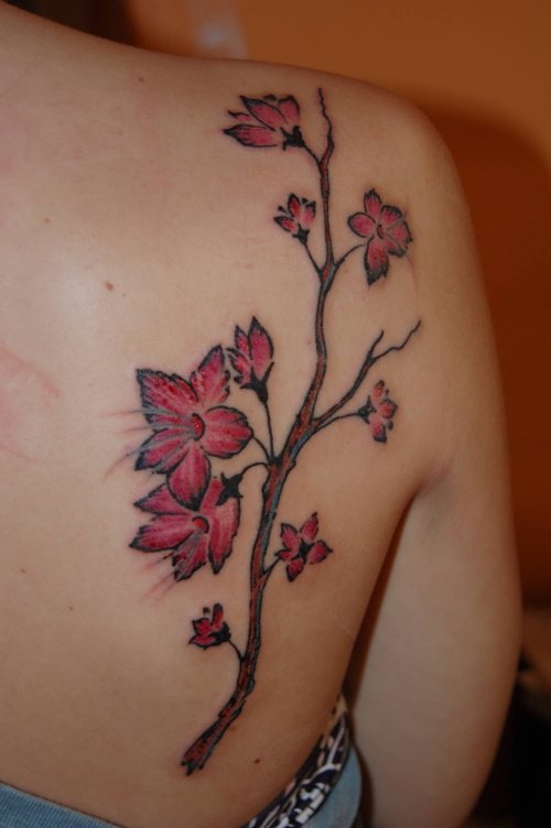 Right Back Shoulder Cherry Blossom Tattoo For Girls
